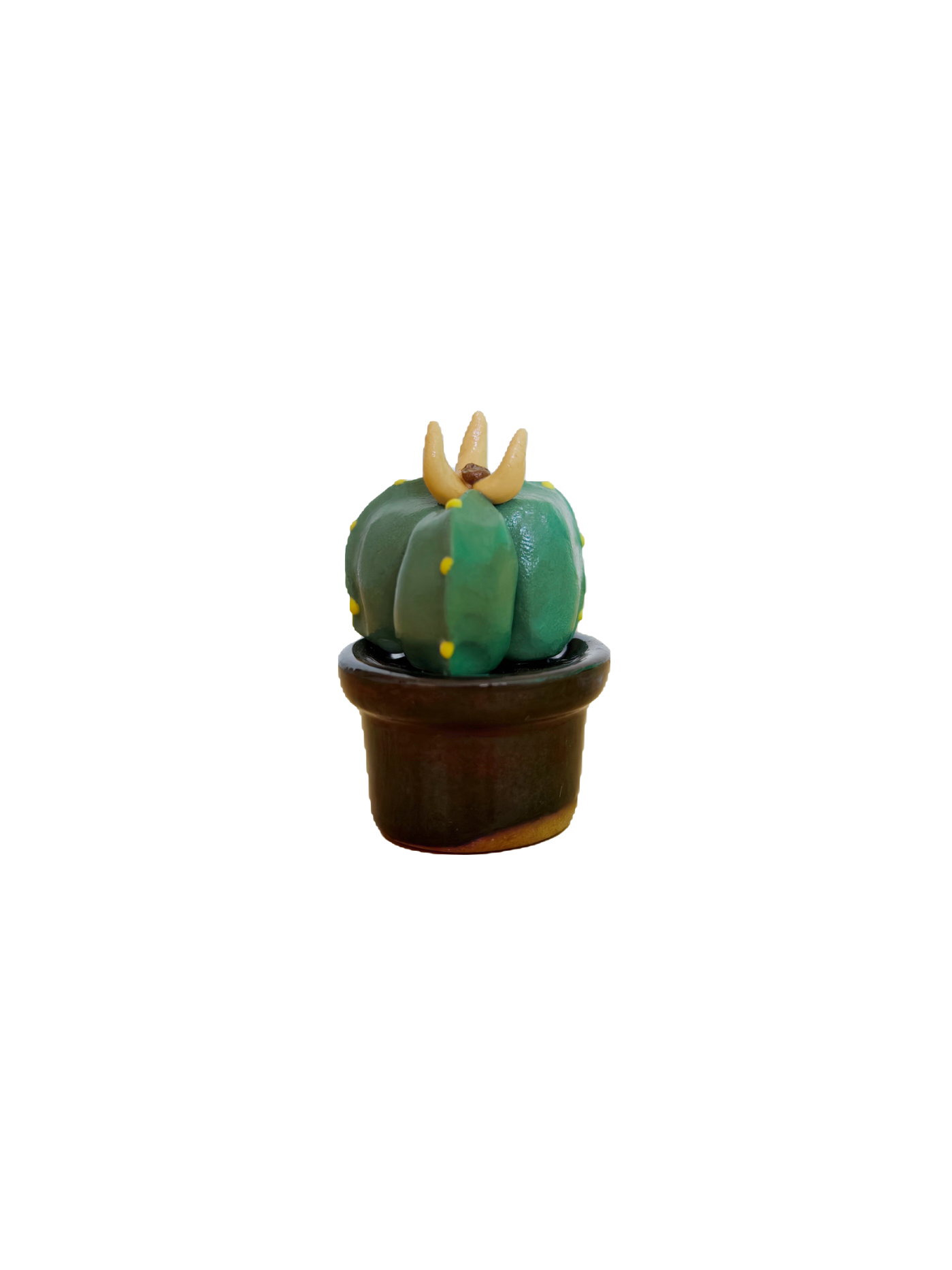 Tiny Cactus #23