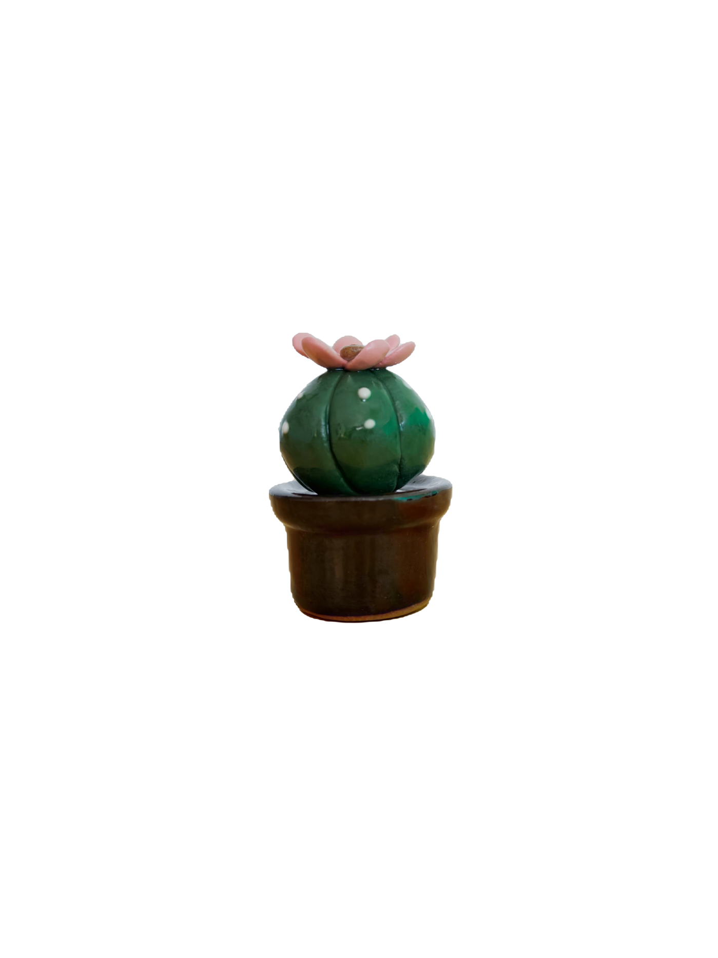 Tiny Cactus #27